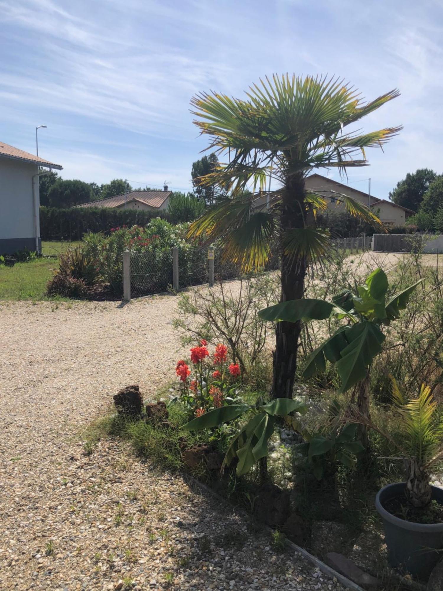 "Les Logis D'Argent" Chambre D'Hote Avec Wc, Sdb, Tv, Wifi, Option Petit Dejeuner , Parking Mimizan Exterior foto